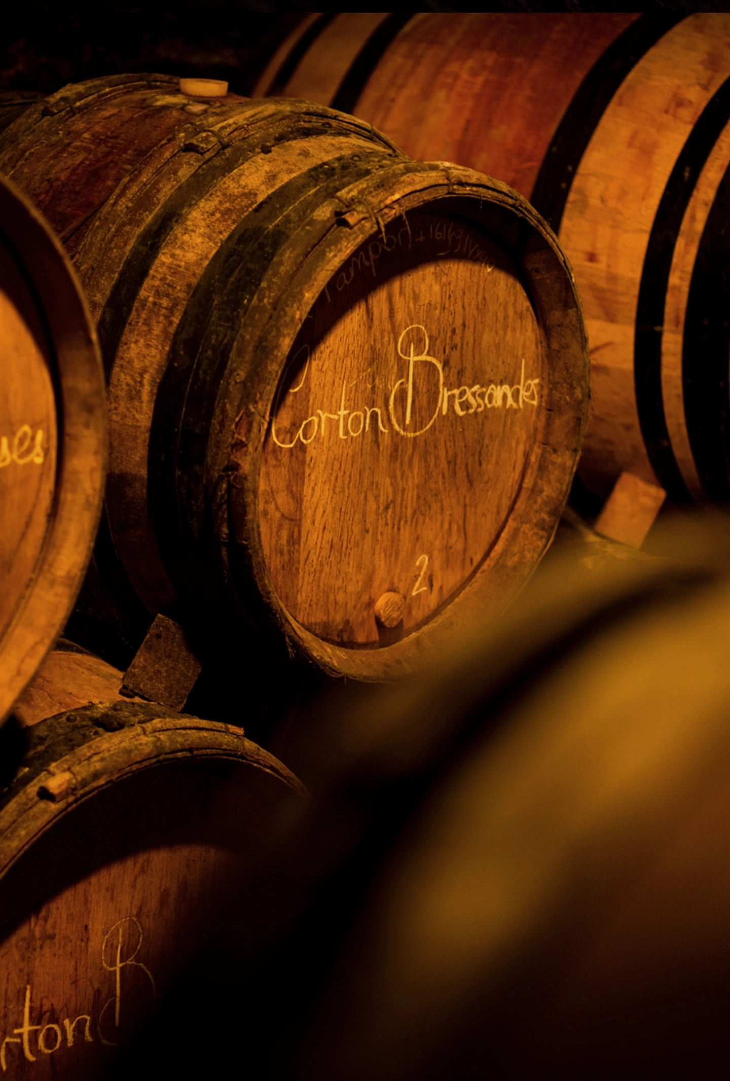 Domaine Chandon de Briailles wines